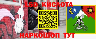 бошки Долгопрудный