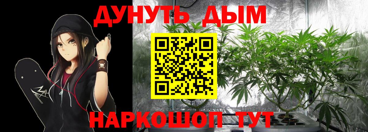 Конопля план  Вход с VPN  Канабис планчик  Вольск 